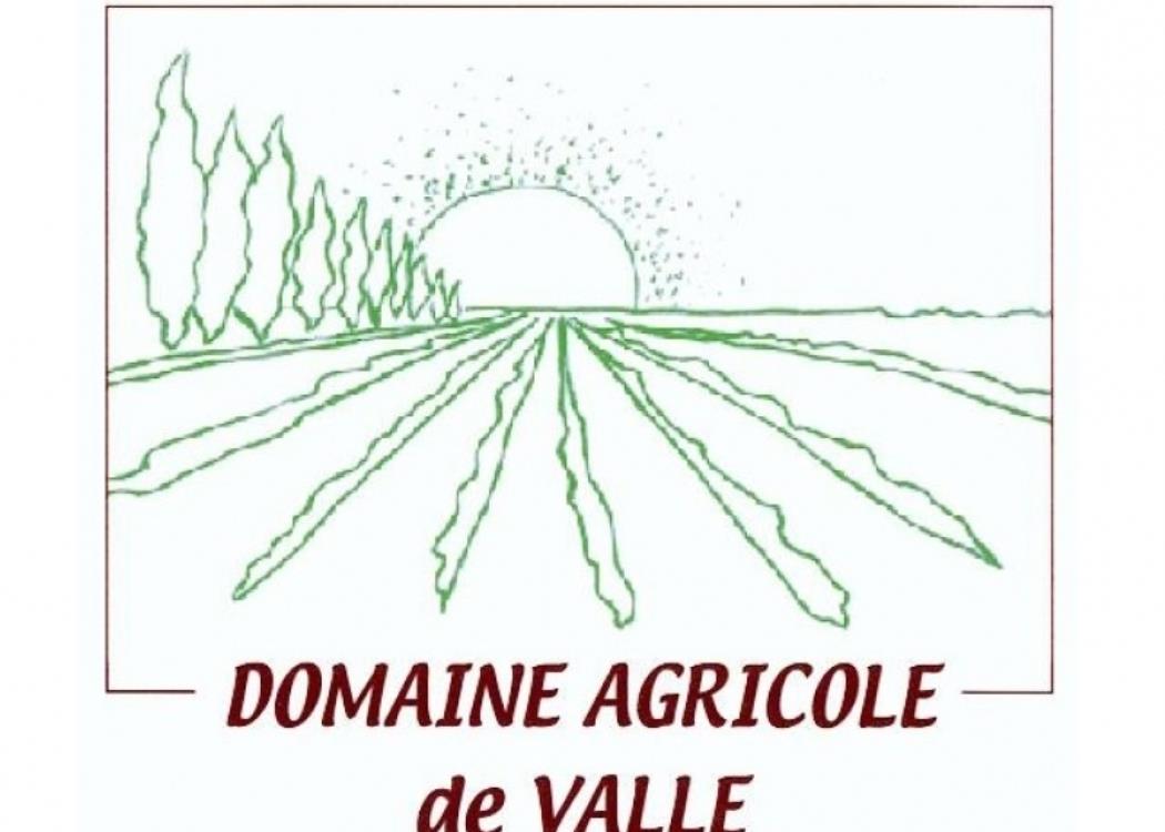 COM DOMAINE AGRICOLE DE VALLE 01