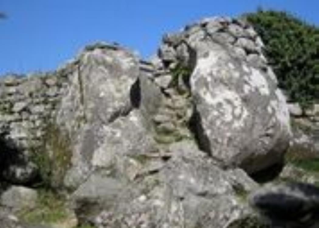 cucuruzzu (2)